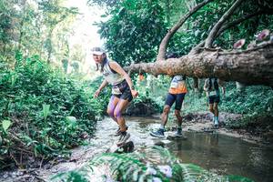 BIB: 
                            <button type="button" onclick="openModal(25430902)" class="btn btn-primary btn-sm float-right btn-popup" data-toggle="modal" data-target=".modal-high-quality">
                        <i class="fas fa-shopping-cart"></i> Add to Cart
                    </button>
                                            <button type="button" onclick="isThisMe(25430902, true)" class="btn btn-success btn-sm float-right btn-popup btn-isme hidden" data-toggle="tooltip" data-placement="bottom" title="นี่คือรูปของคุณใช่ไหม คลิกที่นี่เพื่อเอาเข้าอัลบั้ม">
                        <i class="fas fa-plus"></i> Add to album
                    </button>
                    <button type="button" onclick="isThisMe(25430902, false)" class="btn btn-warning btn-sm float-right btn-popup btn-isnotme hidden">
                        <i class="fas fa-ban"></i> Remove from album
                    </button>